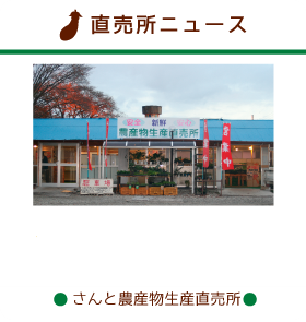 ����ƒ�����